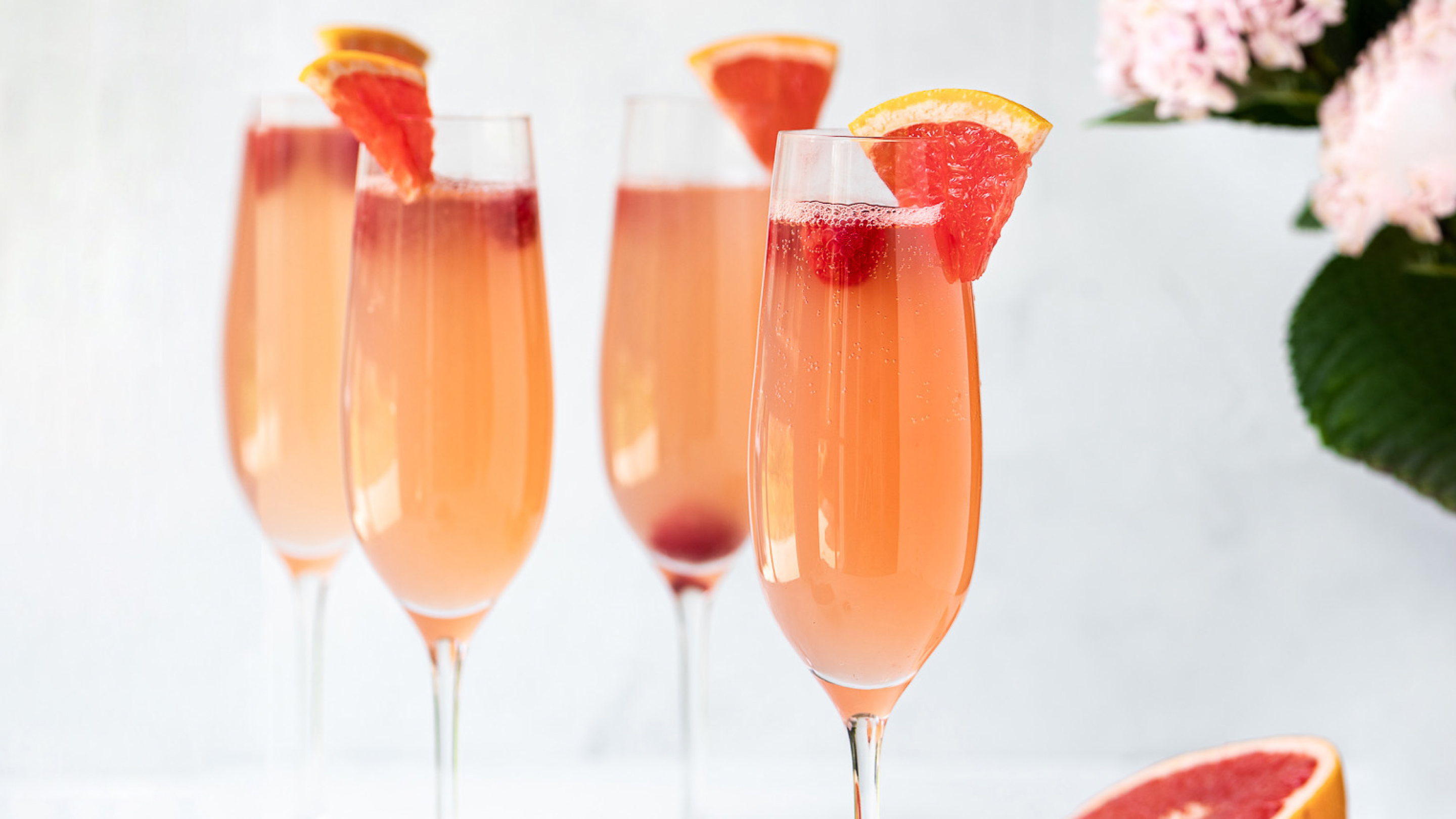 grapefruit mimosa fulgor milano