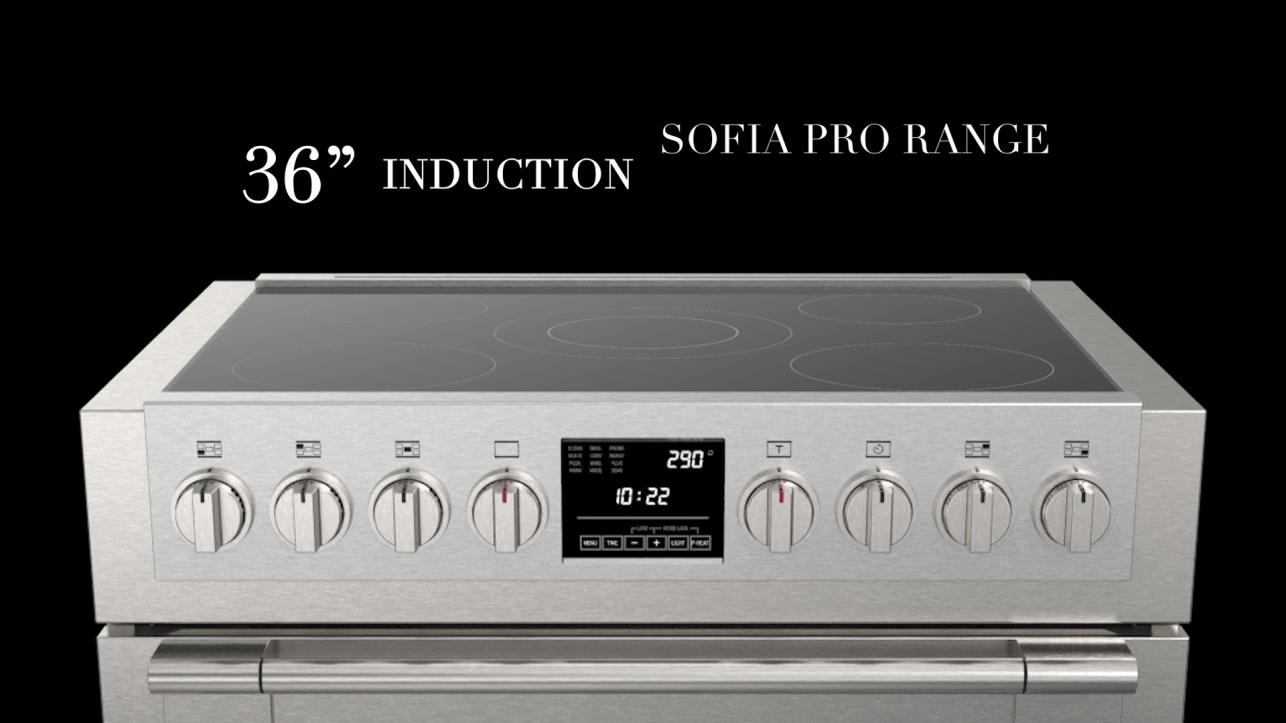 Sofia 36 induction