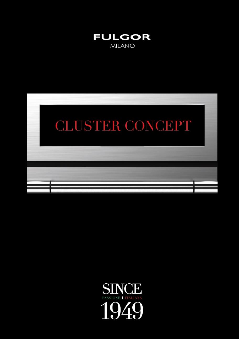 Cluster Concept