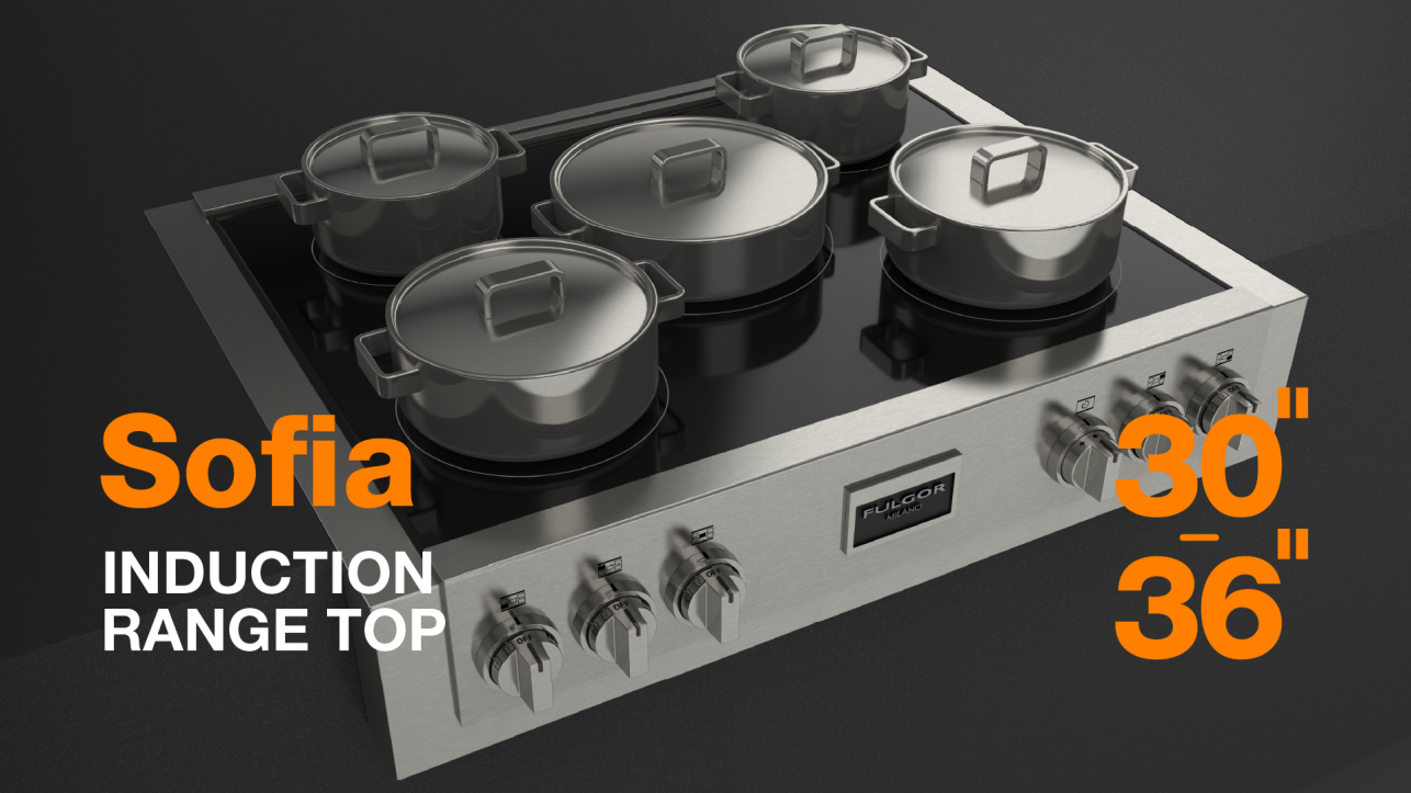 sofia_induction_range_top